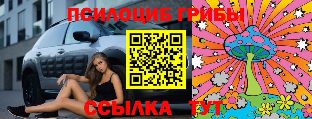 Псилоцибиновые грибы Psilocybe Волгодонск